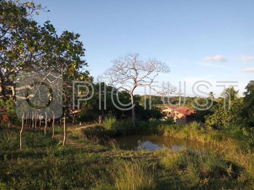 Lagoa no Sítio